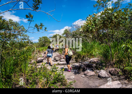 Wandern im Cerrado Landschaft, Chapada Diamantina, Bahia, Brasilien Stockfoto