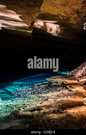 Gruta Azul, Blaue Grotte, Chapada Diamantina, Bahia, Brasilien Stockfoto