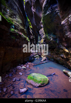 Wasser schlängelt sich durch eine sehr schmale, felsige Schlucht. Stockfoto