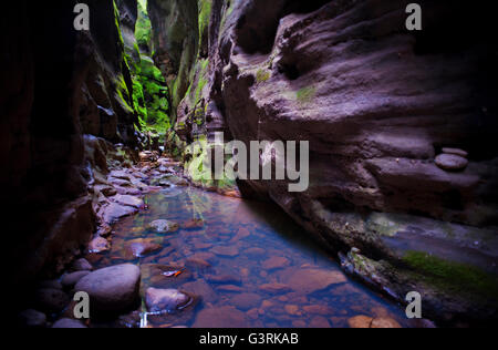 Wasser schlängelt sich durch einen sehr engen, atmosphärischen, felsigen Schlucht. Stockfoto