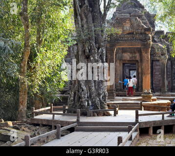 Eingangstor zum Ta Prohm heiligen buddhistischen Tempel in der Angkor Ruinen Komplex von Kambodscha Stockfoto