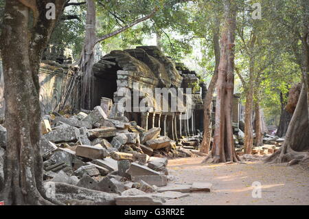Ta Prohm Steintempel Ruinen über einen Waldweg in der Nähe von Siem Reap - Kambodscha Stockfoto