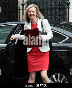 LONDON - 14. Juni 2016: Liz Truss Ankunft der wöchentlichen Kabinettssitzung in London in der Downing Street Stockfoto