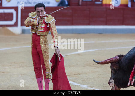 Der spanische Stierkämpfer Enrique Ponce bereitet zu töten, einen Stier mit seinem Schwert in der Stierkampfarena von Jaen, Spanien Stockfoto