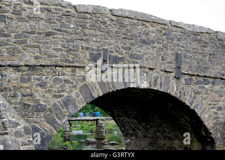 Blick durch einen Bogen des 18. Jahrhunderts Brücke über den East Dart River gegenüber Menschen sitzen auf dem alten clapper Bridge. Stockfoto