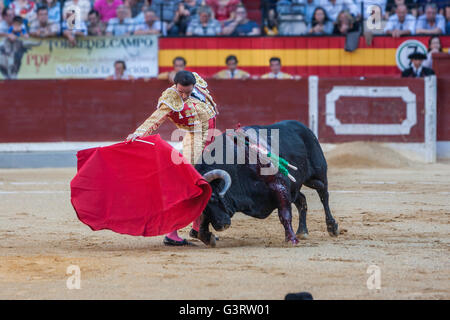 Der spanische Stierkämpfer Enrique Ponce Stierkampf mit der Krücke in der Stierkampfarena von Jaen, Spanien Stockfoto