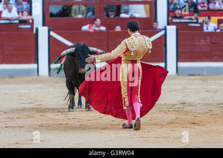 Der spanische Stierkämpfer Enrique Ponce Stierkampf mit der Krücke in der Stierkampfarena von Jaen, Spanien Stockfoto