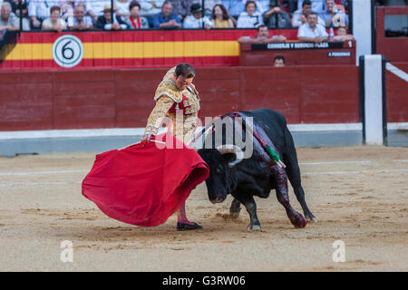 Der spanische Stierkämpfer Enrique Ponce Stierkampf mit der Krücke in der Stierkampfarena von Jaen, Spanien Stockfoto