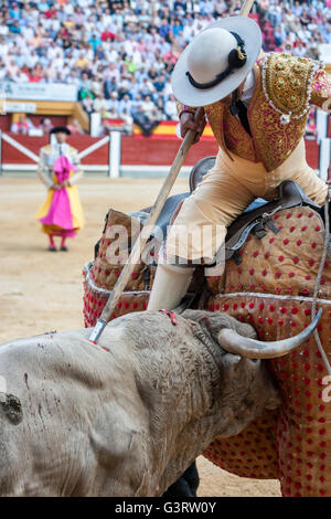 Picador Stierkämpfer, Lancer, deren Aufgabe es ist, schwächen Bull Nackenmuskulatur in der Stierkampfarena für Jaen, Spanien Stockfoto