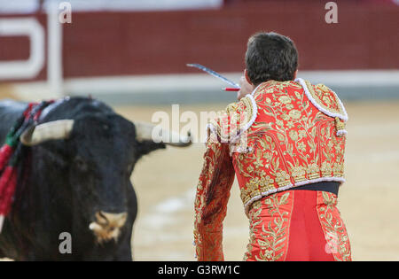 Die spanischen Torero David Fandila El Fandi Vorbereitung auf den Stier in der Stierkampfarena von Pozoblanco, Spanien zu töten Stockfoto