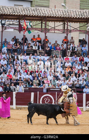 Picador Stierkämpfer, deren Aufgabe es ist, schwächen Bull Nackenmuskulatur in der Stierkampfarena Lancer fo Ubeda, Provinz Jaen, Spanien Stockfoto