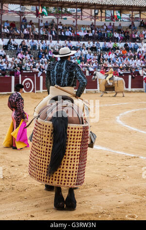 Picador Stierkämpfer, deren Aufgabe es ist, schwächen Bull Nackenmuskulatur in der Stierkampfarena Lancer fo Ubeda, Provinz Jaen, Spanien Stockfoto