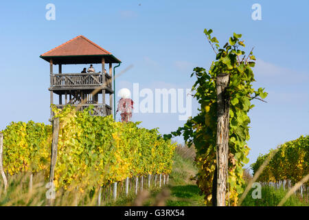 Wachturm Engabrunn und Weinberge, Österreich, Niederösterreich, Niederösterreich, Waldviertel, Grafenegg Stockfoto