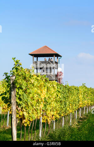 Wachturm Engabrunn und Weinberge, Österreich, Niederösterreich, Niederösterreich, Waldviertel, Grafenegg Stockfoto