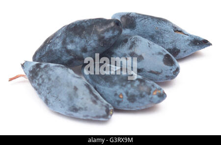 frischem Geißblatt Beeren isoliert auf weißem Hintergrund Stockfoto