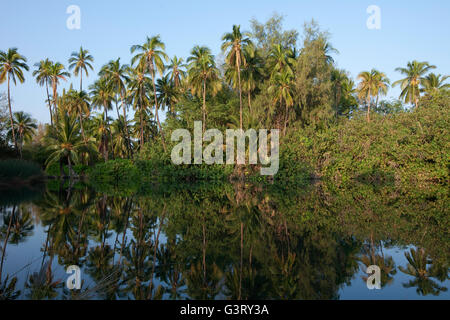 Blick auf Kiholo Bay, Hawaiis Big Island, Hawaii, USA Stockfoto