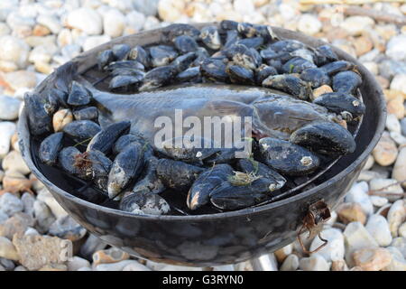 Fangfrischen Meeresfrüchte auf dem Grill Stockfoto