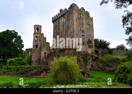 Blarney Castle, Cork, Irland Stockfoto