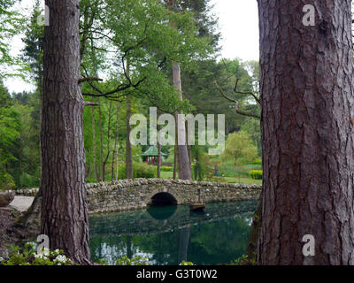 Dry Stone Bridge in einem See zwischen den Bäumen am Himalaya Garten & Sculpture Park, North Yorkshire, England, UK. Stockfoto