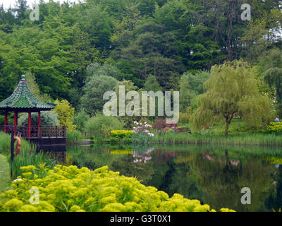 Pagode am Rand des Sees am Himalaya Garten & Skulpturenpark, North Yorkshire, England UK. Stockfoto