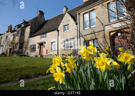 Cotswold Steinhütten und Narzissen entlang The Hill, Burford, Cotswolds, Oxfordshire, England, Vereinigtes Königreich, Europa Stockfoto