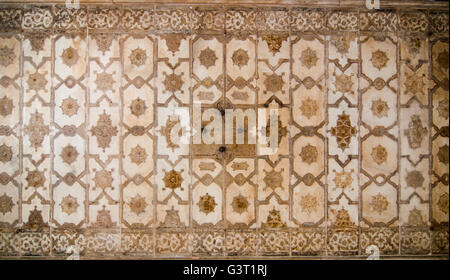 Detail der Wand von einem Palast in Indien. Stockfoto