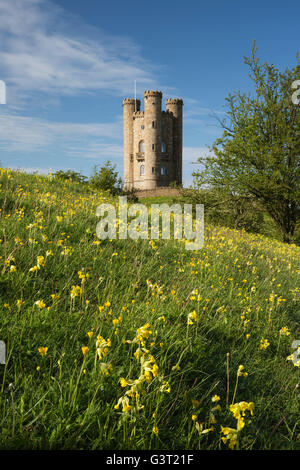 Broadway Tower inmitten Schlüsselblumen, Broadway, Cotswolds, Worcestershire, England, Vereinigtes Königreich, Europa Stockfoto