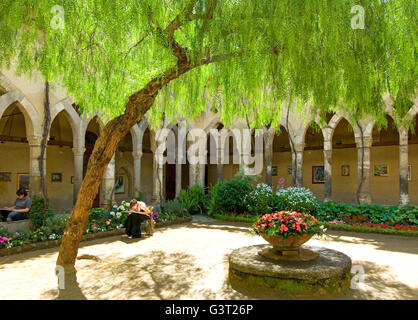 Mimosa Baum überhängend die wunderschönen mittelalterlichen Kreuzgänge des Klosters von San Francesco in Sorrento, in der Nähe von Neapel, Italien Stockfoto