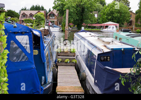 Narrowboats in Runnymede in Surrey UK Stockfoto