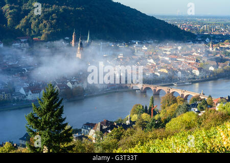 Blick vom Philosophen Weg mit einem Weinberg im Morgennebel auf die Altstadt mit Heiliggeistkirche und Alter Brücke über den Nec Stockfoto