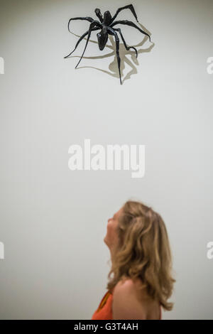 London, UK. 14. Juni 2016. Eine Spinne kommt eine Mauer in der Switch-Haus - die neue Tate Modern öffnet für die Öffentlichkeit am Freitag 17. Juni. Der neue Schalter Hausbau ist von den Architekten Herzog & de Meuron entworfen, auch die ursprüngliche Umwandlung der Bankside Power Station im Jahr 2000. Bildnachweis: Guy Bell/Alamy Live-Nachrichten Stockfoto