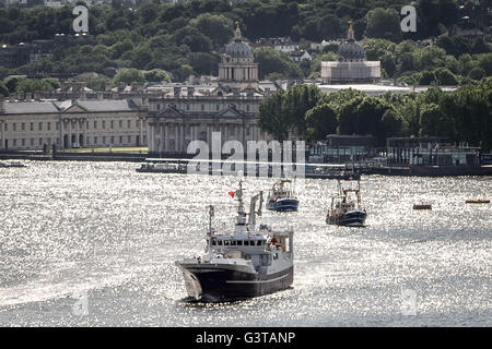 London, UK. 15. Juni 2016. Flottille der britischen Fischern unter der Leitung von UKIP Führer Nigel Farage übergibt Greenwich im Südosten Londons. Die Flottille startete am frühen Morgen aus Southend-on-Sea, markieren Sie das Elend der britischen Fischern und die anhaltende Kampagne für Großbritannien, den Europäischen Union (EU) Kredit zu verlassen: Guy Corbishley/Alamy Live News Stockfoto