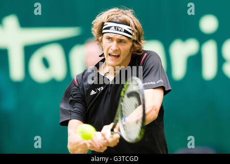 Halle, Deutschland. 15. Juni 2016.  Die 2 deutschen Alexander Zverev und Benjamin Becker spielen ihre 2. Vorrundenspiel 2016 Gerry-Weber-Open in Halle, Deutschland. Bildnachweis: Janine Lang/Alamy Live-Nachrichten Stockfoto