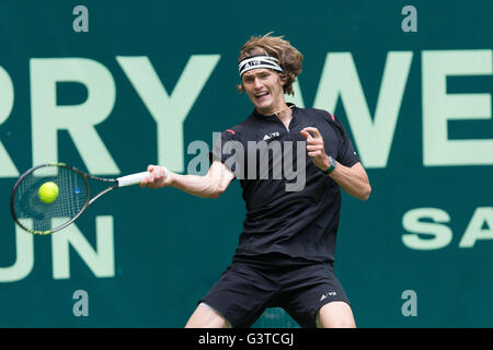 Halle, Deutschland. 15. Juni 2016.  Die 2 deutschen Alexander Zverev und Benjamin Becker spielen ihre 2. Vorrundenspiel 2016 Gerry-Weber-Open in Halle, Deutschland. Bildnachweis: Janine Lang/Alamy Live-Nachrichten Stockfoto