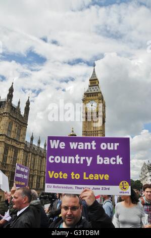 London, Großbritannien. 15. Juni 2016. Brexit Anhänger versammeln sich auf die Westminster Bridge, London, Großbritannien, für die Ankunft der UKIP Führer, Nigel Farrage; führende eine Flotte von Booten der Fischer zu den Häusern des Parlaments, in der nächsten Woche vor dem EU-Referendum. Credit: Dario Earl/Alamy leben Nachrichten Stockfoto