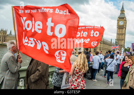 London, UK. 15. Juni 2016. Verlassen Anhänger Uhr von Westminster Bridge - Nigel Farage, der Führer der Ukip, schließt sich eine Flotte von Fischkuttern, die Themse zum Parlament zu fordern Rückzug des Vereinigten Königreichs aus der EU in einem Protest zeitlich zusammenfallen mit Fragen des Premierministers. Bildnachweis: Guy Bell/Alamy Live-Nachrichten Stockfoto