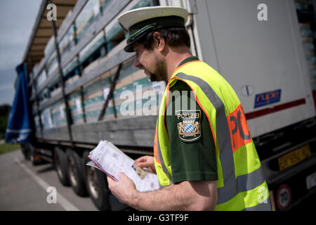 Augsburg, Deutschland. 15. Juni 2016. Ein Polizist inspiziert einen LKW auf der Autobahn A8 in der Nähe von Augsburg, Deutschland, 15. Juni 2016. Bayern ist als Reaktion auf die Zunahme der schwere Lkw-Unfälle mit mehr Kontrollen. Foto: SVEN HOPPE/Dpa/Alamy Live News Stockfoto