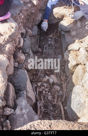 Pozo, Gran Canaria, Kanarische Inseln, Spanien, 15. Juni 2016. Archäologen untersuchen ein Skelett auf einem Aborigine Gräberfeld auf der Ost Küste von Gran Canaria. "Los Guanches", die ersten Bewohner der Kanarischen Inseln werden gedacht, um die nordafrikanischen Berber Abstammung gewesen sein. Das Skelett ist männlich, ca. 45 Jahre alt, und Schätzungen zufolge vor rund 600 Jahren begraben worden (noch um über Kohlenstoffdatierung bestätigt werden). Bildnachweis: Alan Dawson News/Alamy Live-Nachrichten Stockfoto