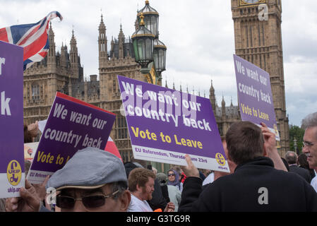 London, UK. 15. Juni 2016., UKIP Banner von Anhängern auf Westminster Bridge während der Fischerei für Urlaub Demonstration auf der Themse Kredit: Ian Davidson/Alamy Live News Stockfoto