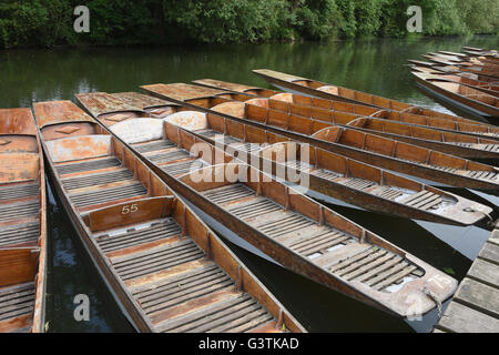 Stocherkähne vertäut am Fluss Cherwell, Oxford, UK Stockfoto
