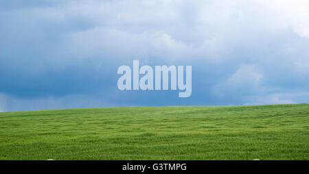 Agrarlandschaft in Podolien Region der Ukraine Stockfoto