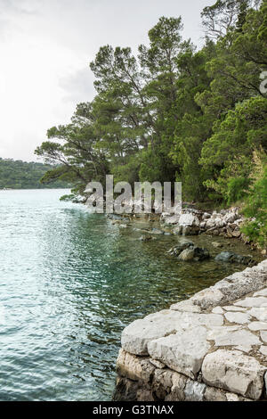 Der See im Nationalpark Mljet, Kroatien Stockfoto