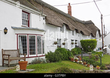 Reihe von Steinhütten mit traditionell weiß getünchten Wänden und Strohdächern in einem alten Fischerdorf in Cornwall UK Stockfoto