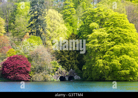Arboretum verschiedener Bäume. UK in voller Blüte. Stockfoto