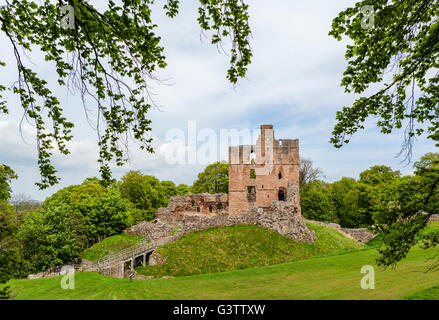 Die Ruinen von Norham Castle, in der Nähe von Berwick am Tweed, Northumberland, England, UK Stockfoto