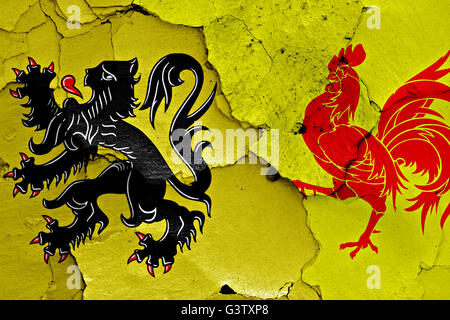 Flaggen von Flandern und Wallonien auf rissige Wand gemalt Stockfoto