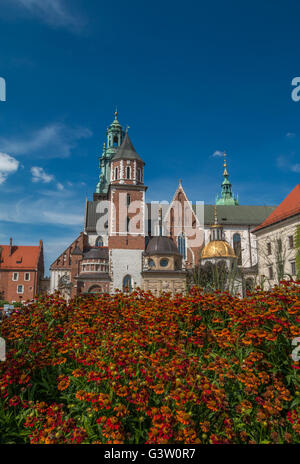 Wawel-Kathedrale in Krakau Stockfoto