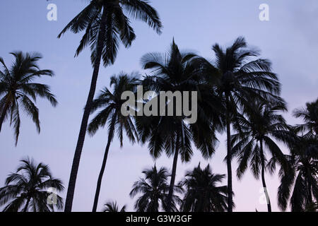 Blick auf Kiholo Bay, Hawaiis Big Island, Hawaii, USA Stockfoto