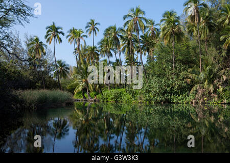 Blick auf Kiholo Bay, Hawaiis Big Island, Hawaii, USA Stockfoto