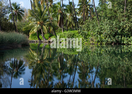 Blick auf Kiholo Bay, Hawaiis Big Island, Hawaii, USA Stockfoto